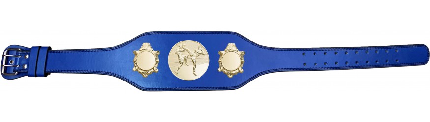 THAI BOXING CHAMPIONSHIP BELT-BUD003/G/TBOG-4 COLOURS